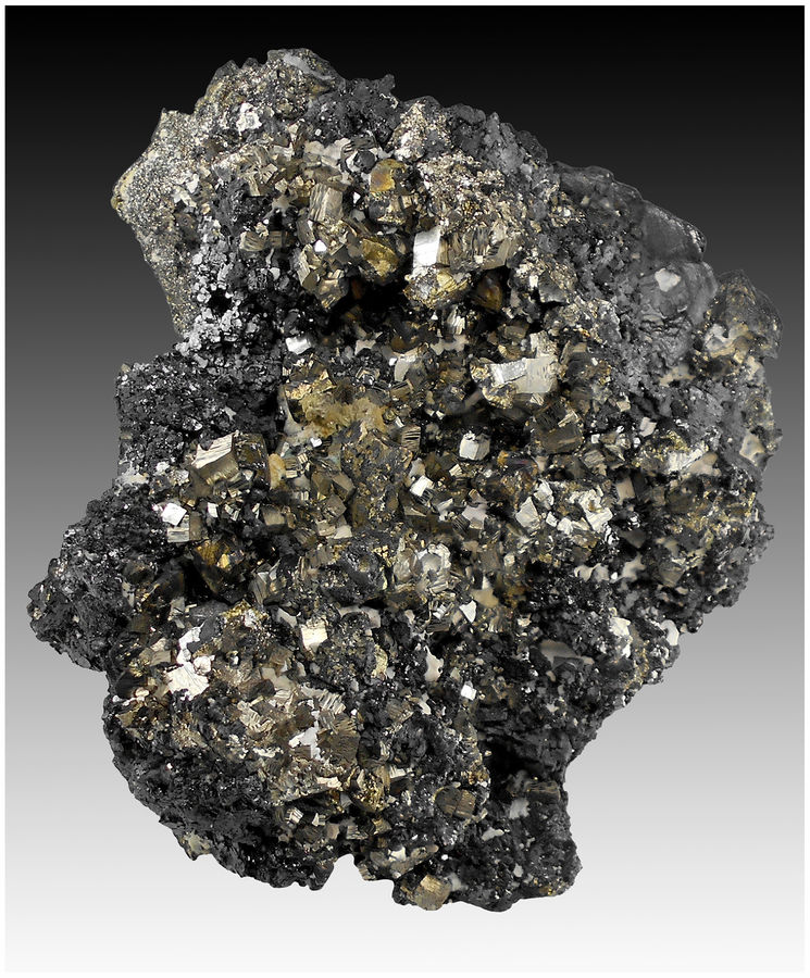 02 - TURT CHALCOPYRITE GALENA.jpg