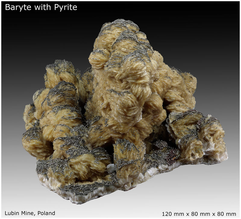 03 - BARITE WITH PYRITE - LUBIN MINE - POLAND - VIEW 3.jpg