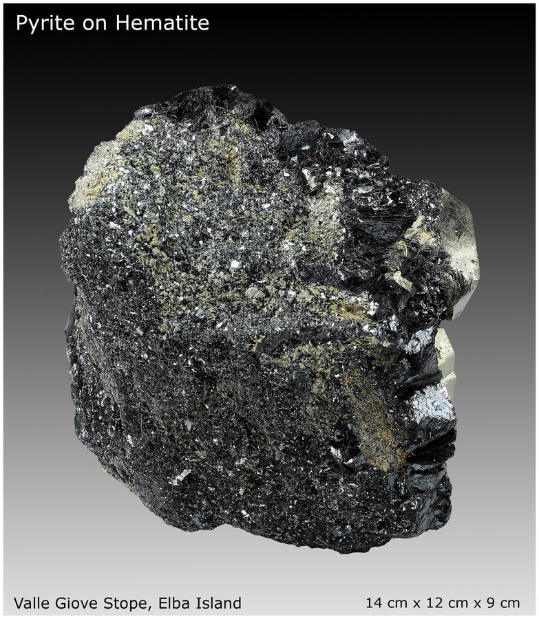 03 - PYRITE ON HEMATITE - ELBA - MATRIX VIEW 1.jpg