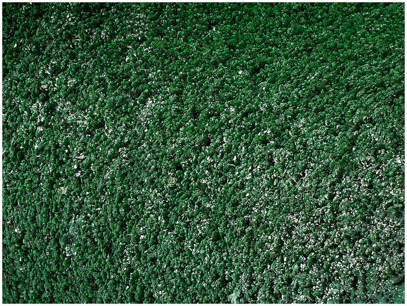 04A - CLOSEUP MICROCRYSTALS.jpg