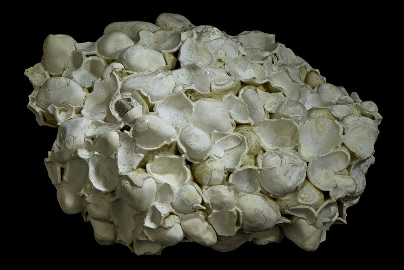 057 Aragonite.jpg