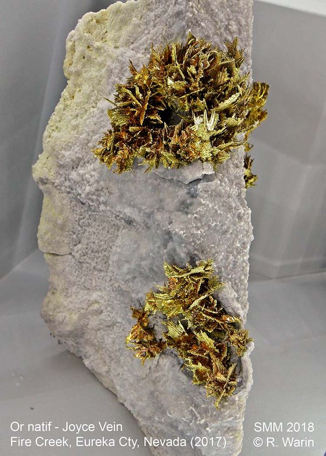 067-Gold_20513_R.jpg