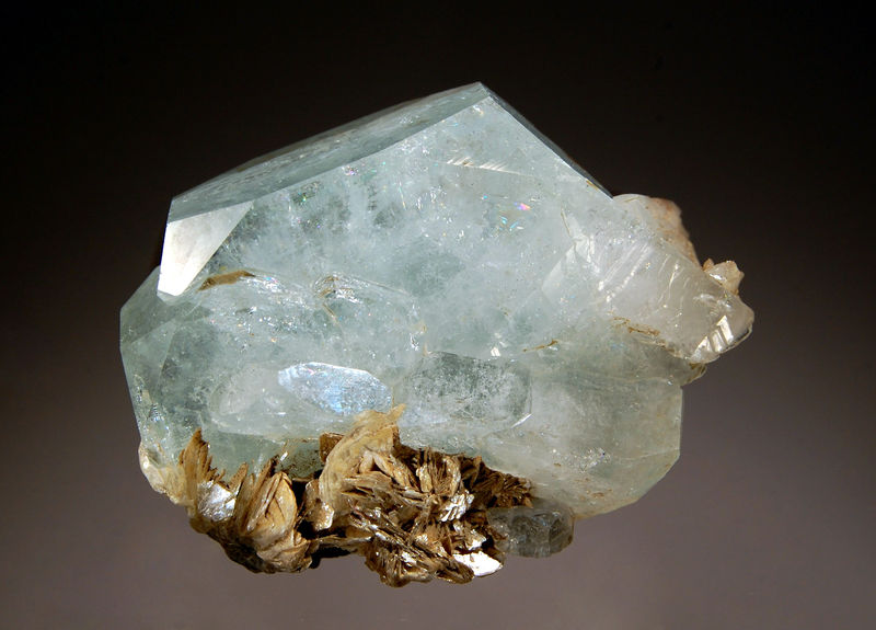 0964 Beryl - Mt. Xuebaoding, Huya Village, Pingwu Co., Sichuan Prov., China.jpg