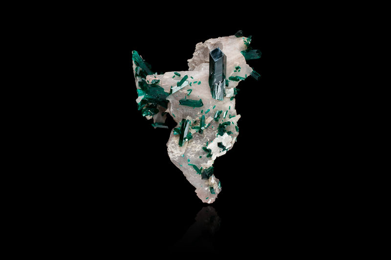 1060.jpg
