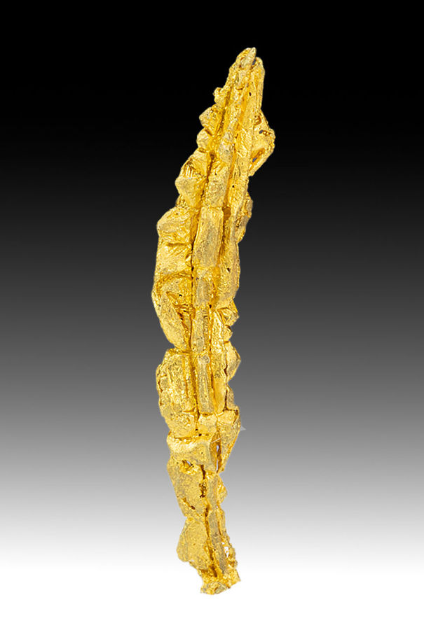1120M-gold1.jpg