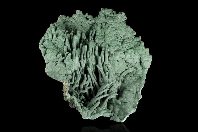 1187.jpg