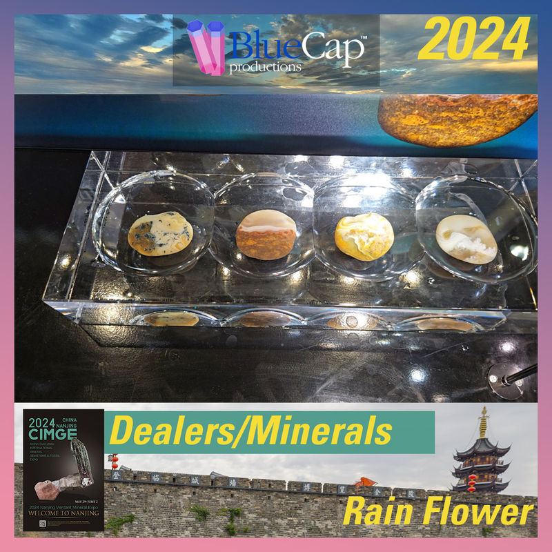 16-Rain-Flower.jpg
