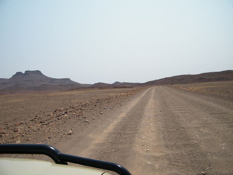 19.JPG