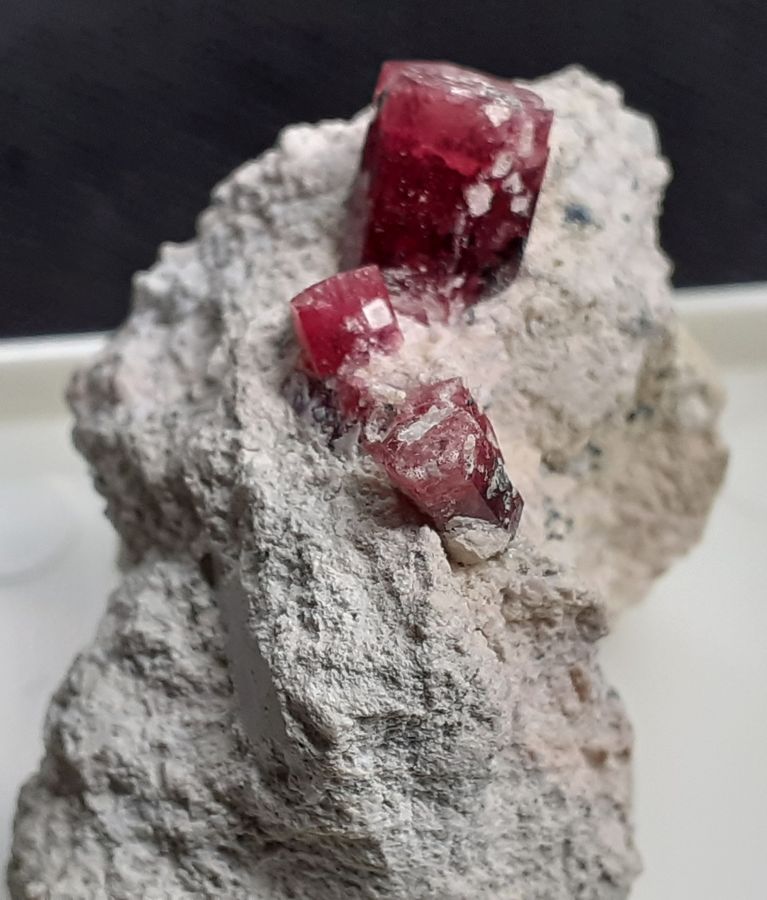 20200906_133056.jpg