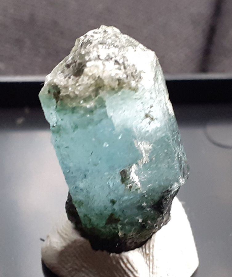 20200906_133232.jpg