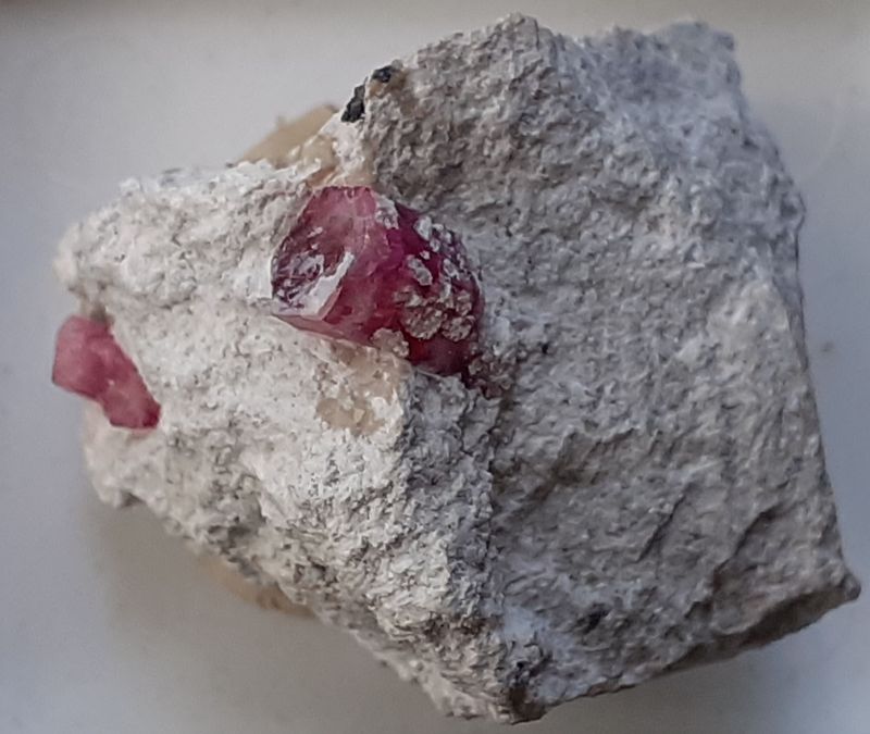 20201004_125925.jpg