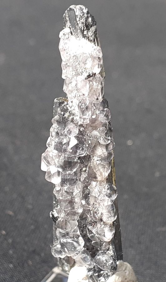 20201008_134803.jpg