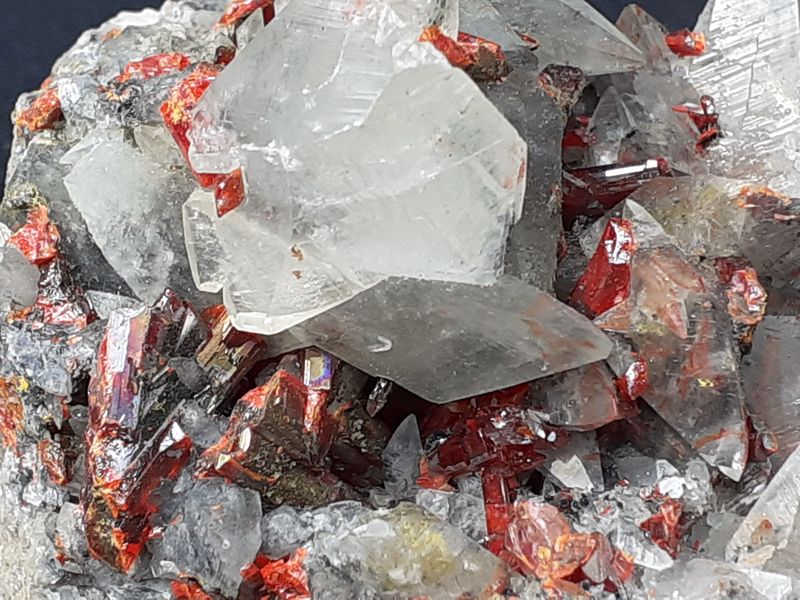 20201008_135245.jpg