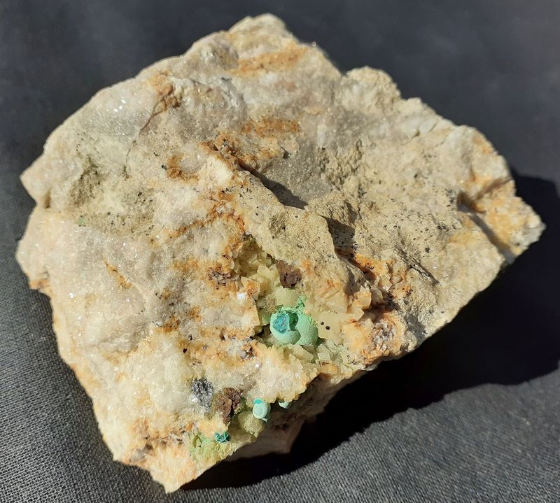 20201008_144034.jpg