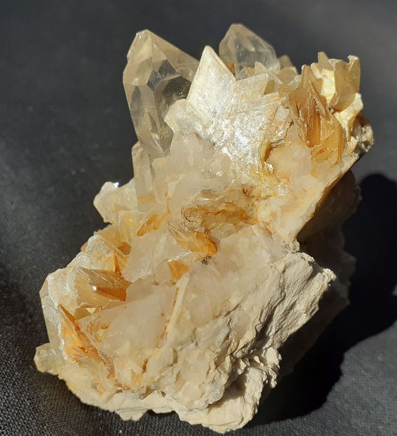 20201008_144319.jpg