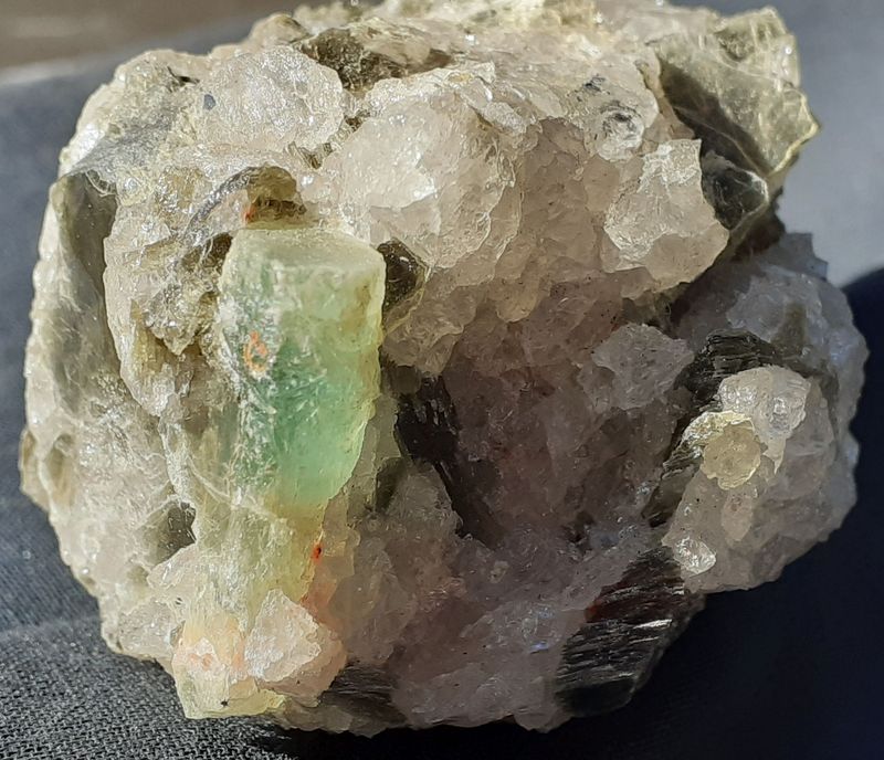 20201008_145133.jpg