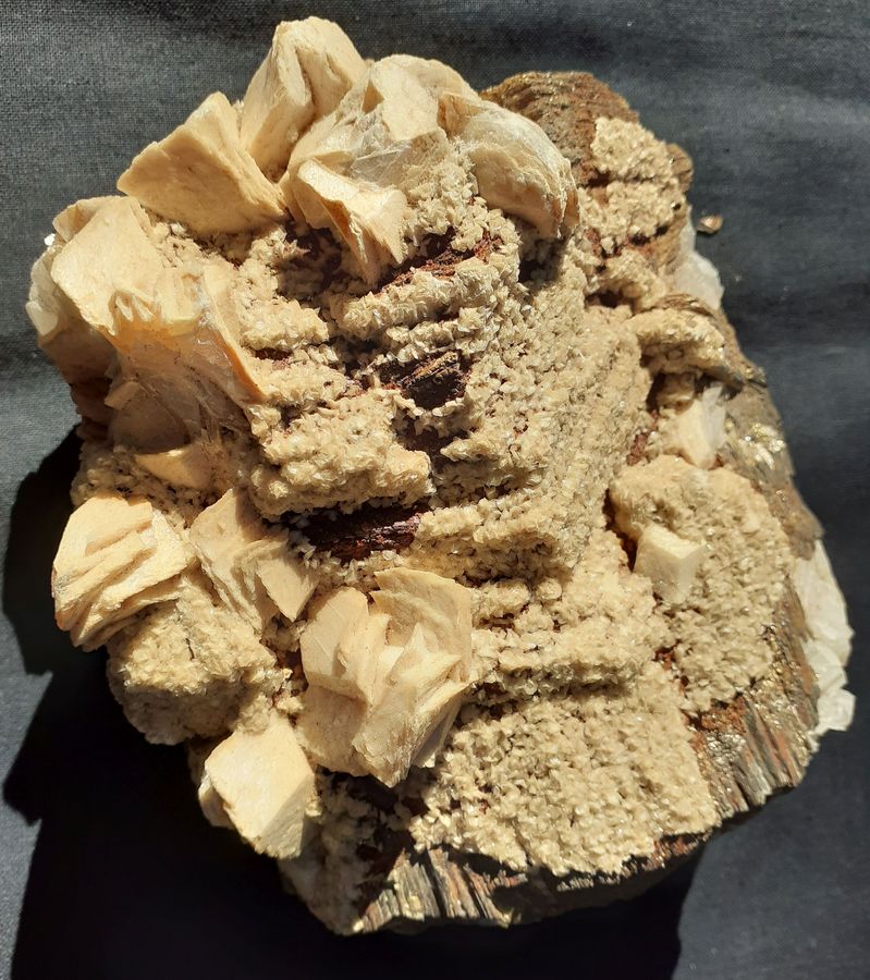 20201008_145354.jpg