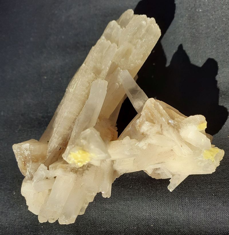 20201008_145745.jpg