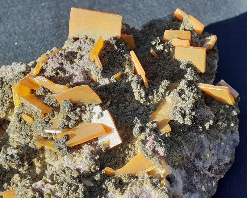 20201031_131910.jpg