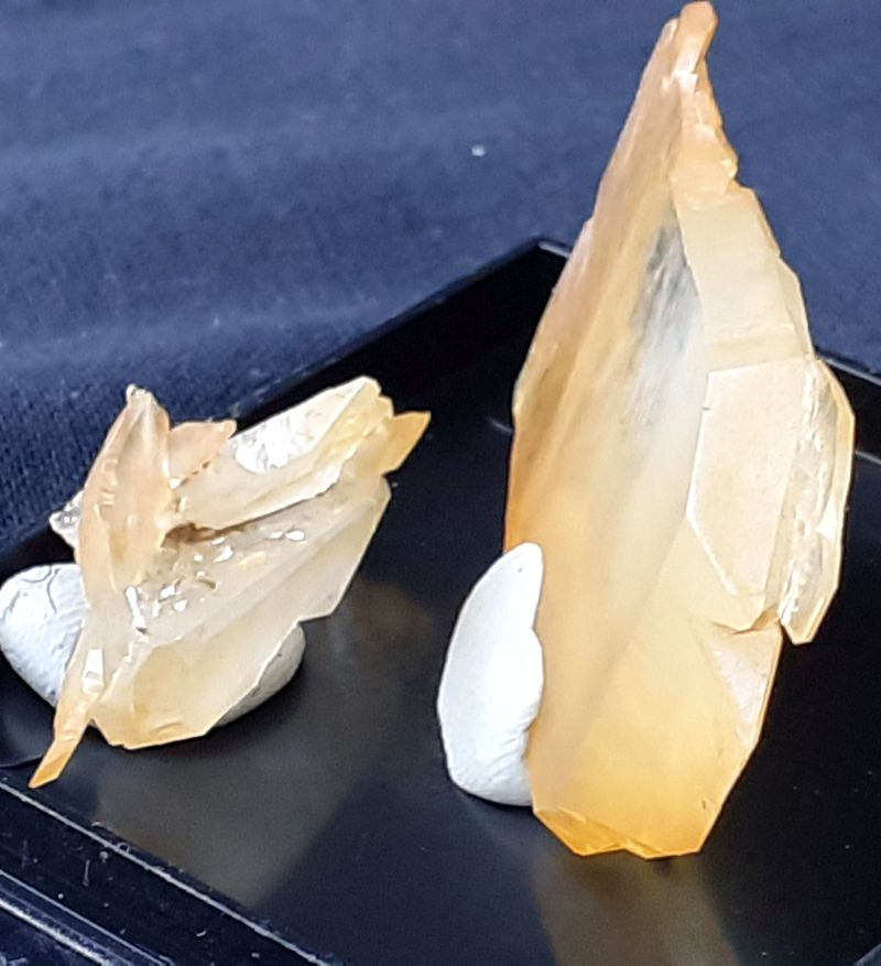 20201222_103659.jpg