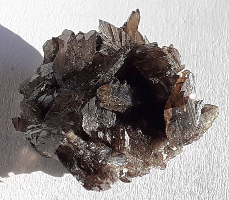 20211112_144914.jpg