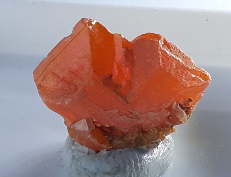 20220716_122712.jpg