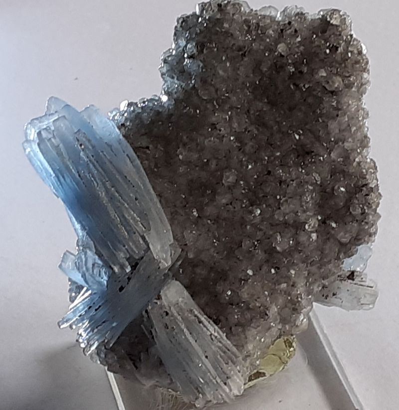 20230419_123134.jpg