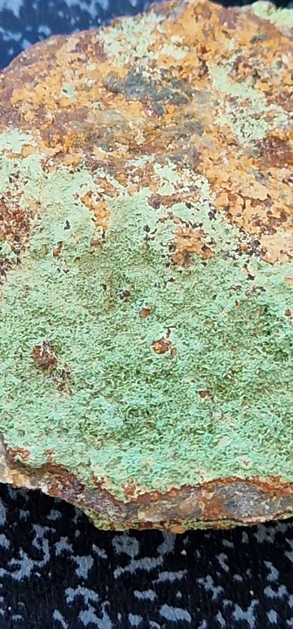 20230621_195816.jpg