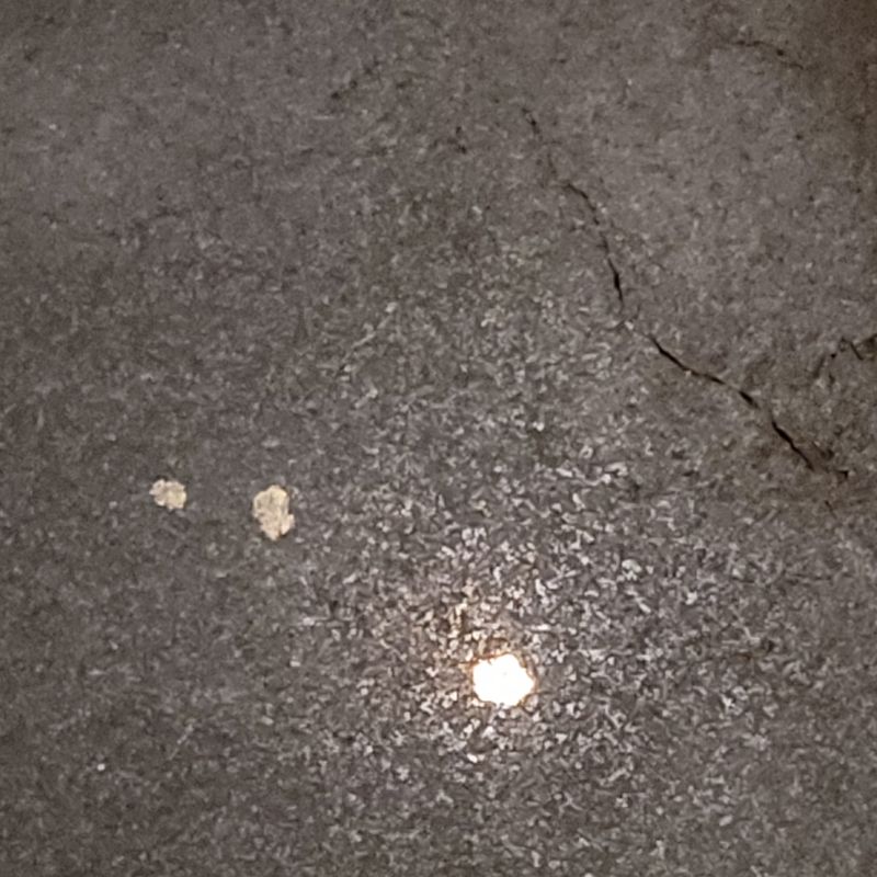 20230917_184131.jpg