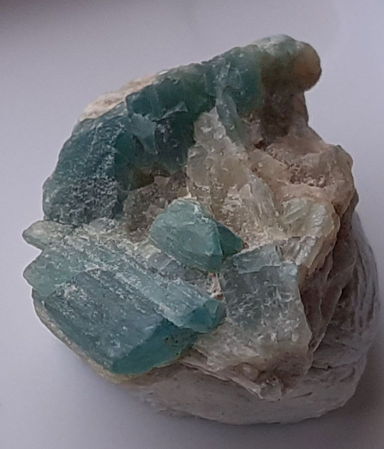 20240810_112627.jpg