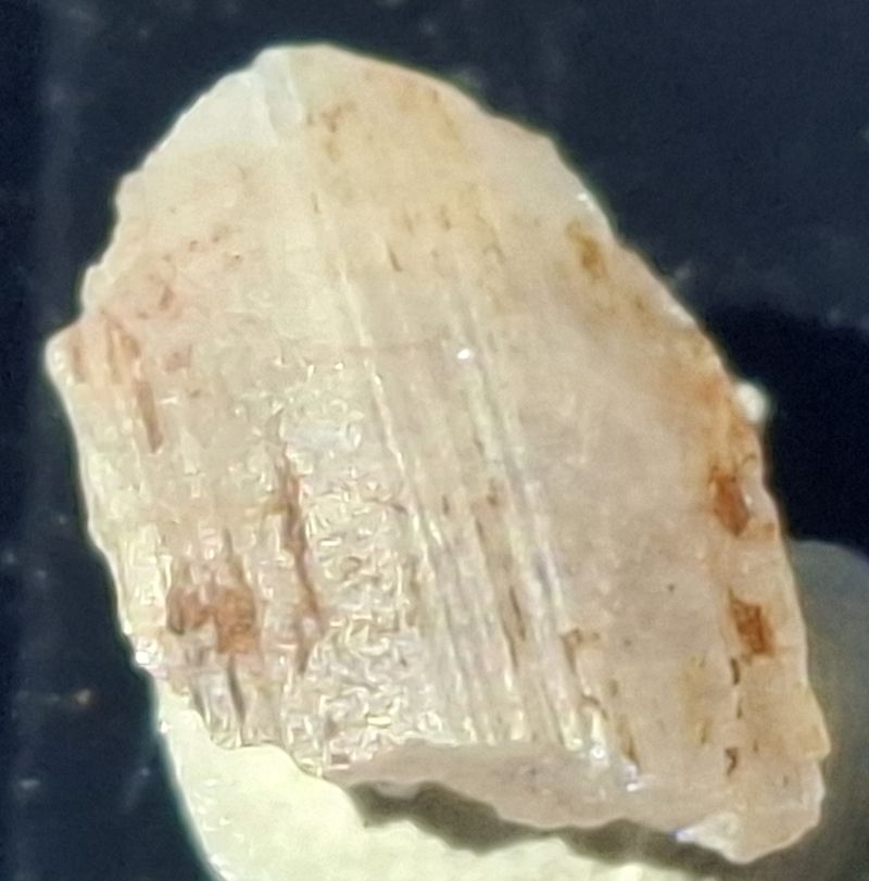 20240918_140051.jpg