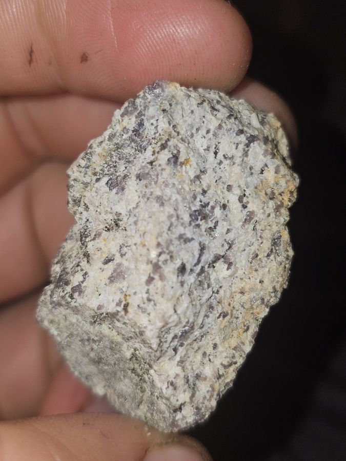 20241005_202639.jpg