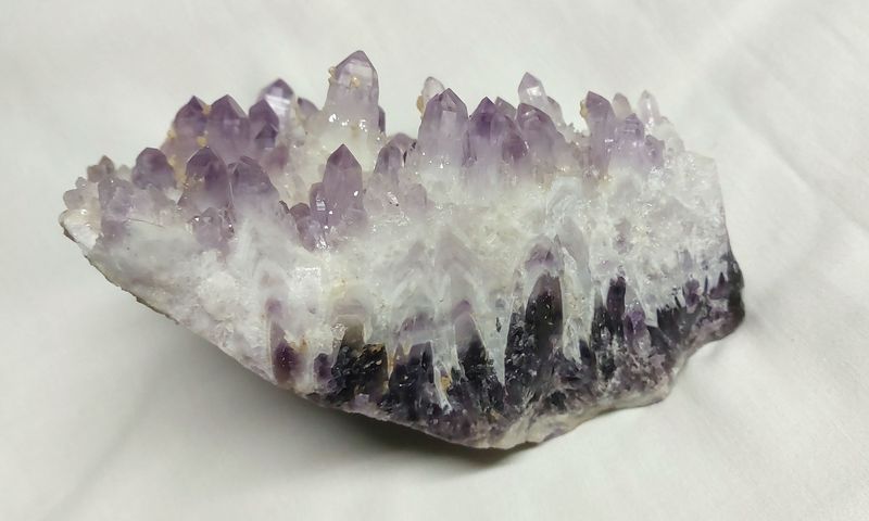 20241106_141409.jpg