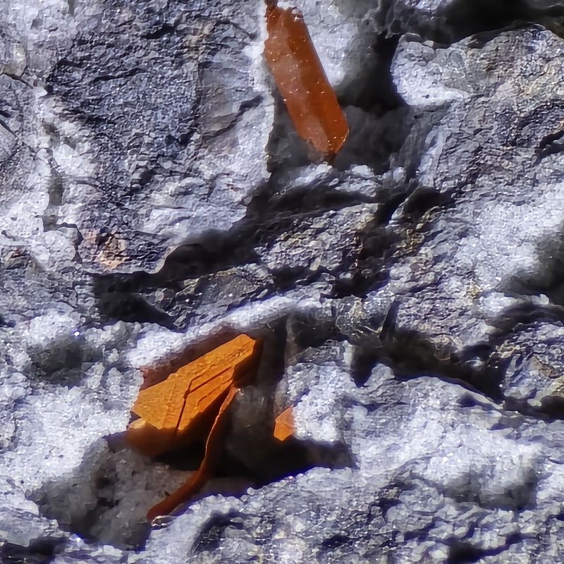 20250604_162113.jpg