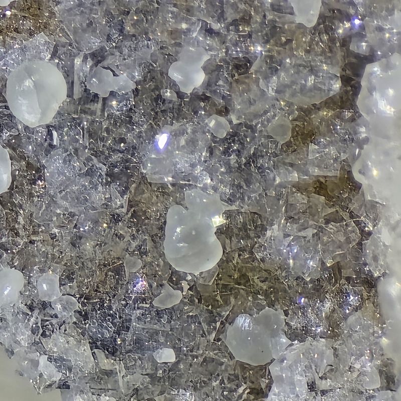 20250604_171726.jpg