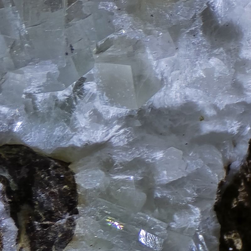 20250719_180031.jpg