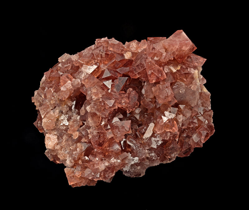 2025-03-13-18.14.31-ZS-PMax.jpg