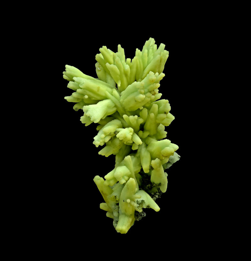 2025-03-26-20.13.00-ZS-PMax.jpg