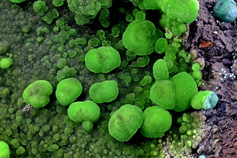 2025-04-04-20.28.43-ZS-PMax.jpg