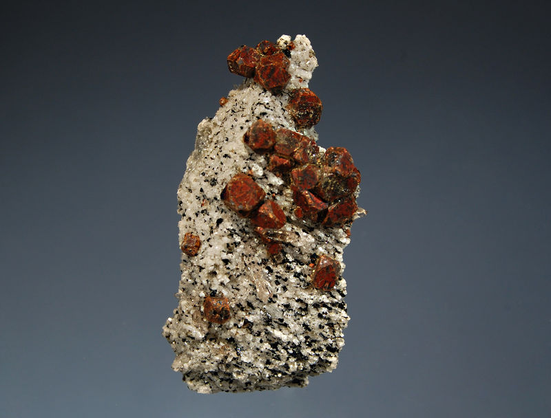 2038 Cafarsite.jpg