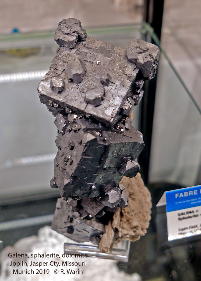20-Galene_40654.jpg