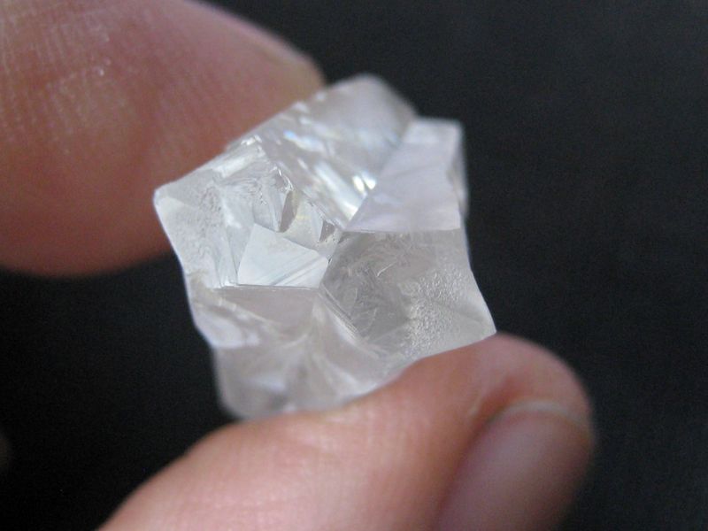 2275f (Medium).JPG
