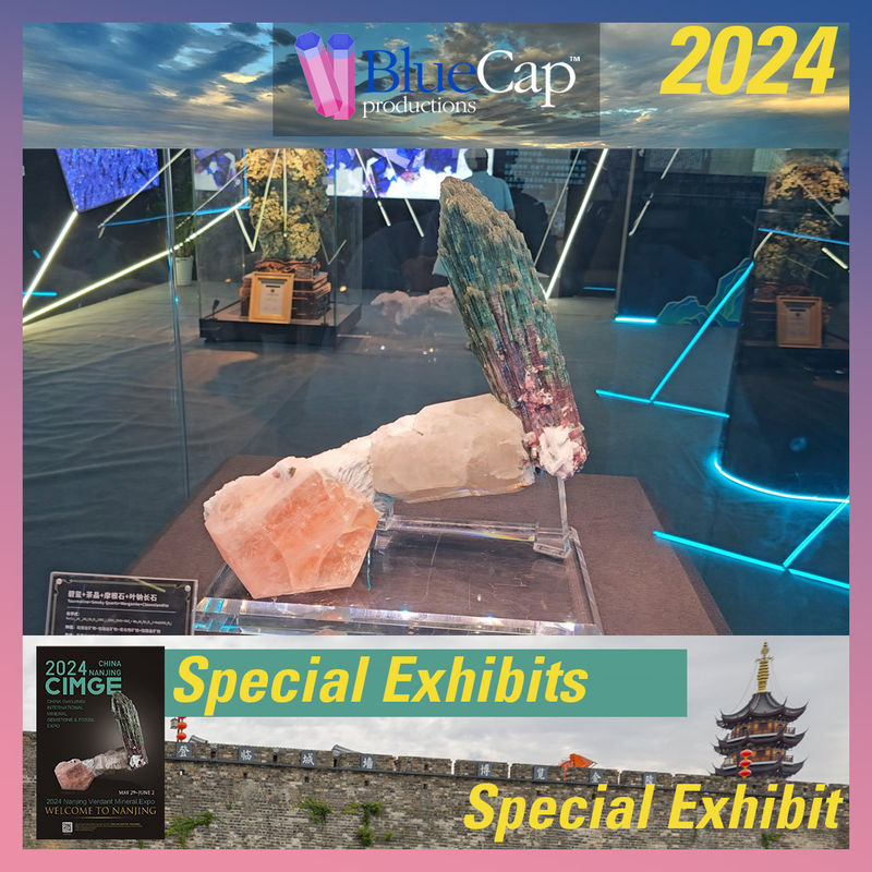 22-Special-Exhibit.jpg