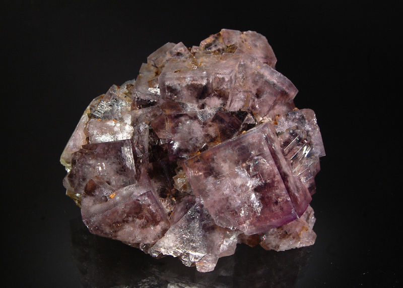 2462 Fluorite - Greenlaw's Mine, County Durham, England.jpg