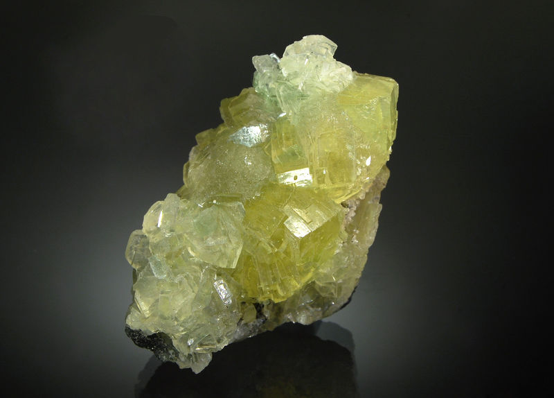 2506 Prehnite - Merelani Hills, Manyara Region, Tanzania.jpg