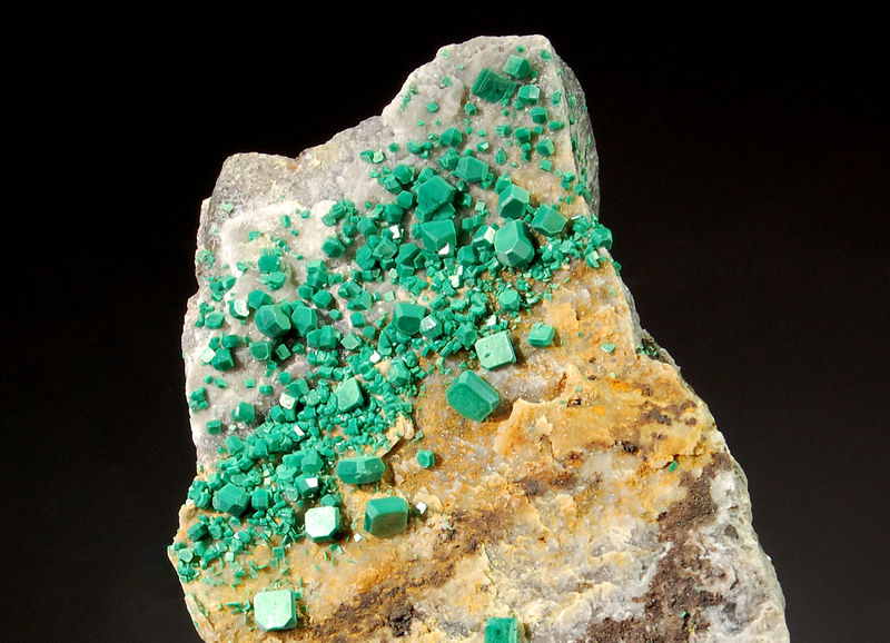 2716 Metatorbernite 2 - Calo, Vimianzo, Galicia, Spain.jpg