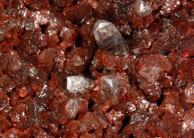 2815 Calcite on Beta-Roselite - Oumlil Mine, Bou Azzer District, Morocco.jpg
