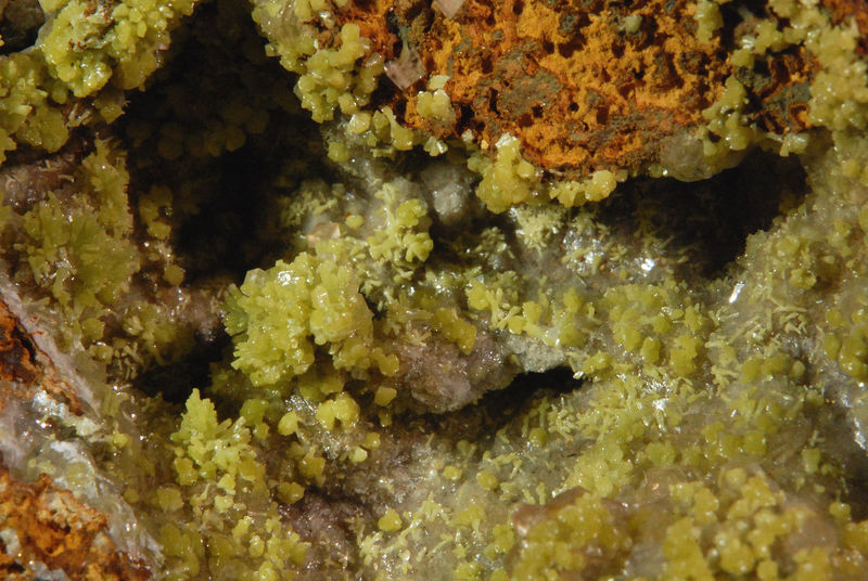 2899 Mimetite (closeup) - Ojuela Mine, Mapimi, Durango, Mexico.jpg