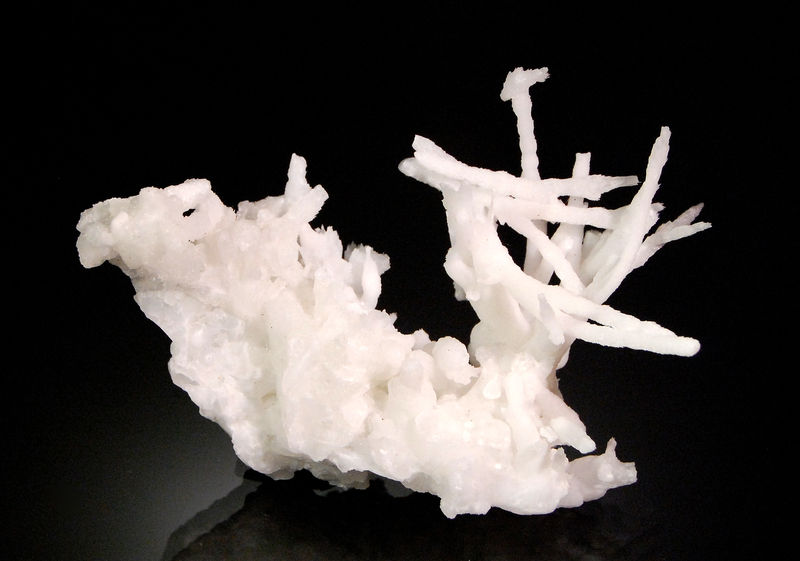 2953 Aragonite var. flos ferri - Elafos Mines, Lavrion District, Attiki Pref., Greece.jpg