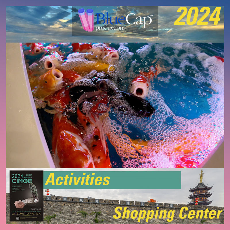 29-Shopping-Center.jpg